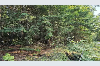 01-Lot 26 County Road, Greenfield Twp, ME 04461 - Photo 4