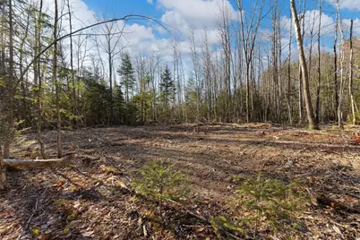 Lot #10 Pine Hill Road, Palermo, ME 04354 - Photo 4