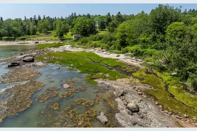 Lot43+45 Reynolds Lane, Addison, ME 04606 - Photo 18