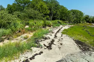 Lot43+45 Reynolds Ln, Addison, ME 04606 - Photo 6