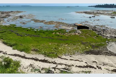 Lot43+45 Reynolds Lane, Addison, ME 04606 - Photo 24
