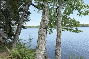 Wa031P6L19 Peninsula Rd, Marion Twp, ME 04628 - Photo 4