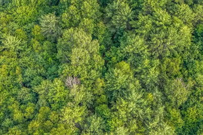 Lot #3 Beechwood Street, Warren, ME 04864 - Photo 4