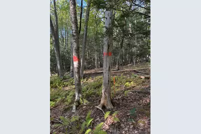 63-2 Ardan Road, Boothbay, ME 04537 - Photo 2