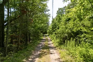 14 Ash Swamp Rd, Scarborough, ME 04074 - Photo 4