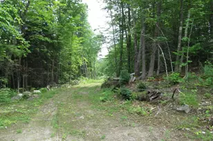 101 Thurlow Dr, Hartford, ME 04220 - Photo 76