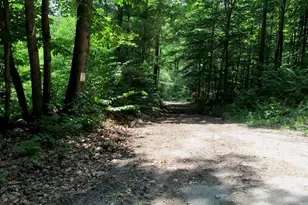 101 Thurlow Dr, Hartford, ME 04220 - Photo 2