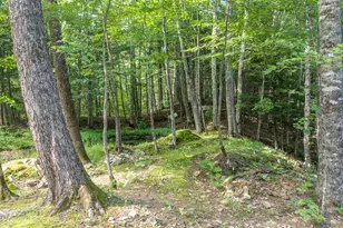 156 Mayfield Rd, Moscow, ME 04920 - Photo 28