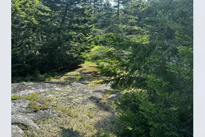 234 Harbor Road, Swans Island, ME 04685 - Photo 12