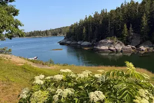 20 Sailors Wy, Vinalhaven, ME 04863 - Photo 50