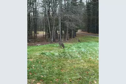 169 Clark Road, Albion, ME 04910 - Photo 46
