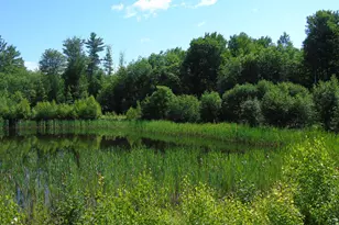 181 Ellingwood Rd, Paris, ME 04281 - Photo 38