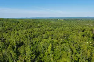 498 Freedom Rd, Prentiss Twp T7 R3 NBPP, ME 04487 - Photo 4