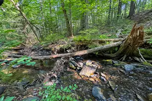498 Freedom Rd, Prentiss Twp T7 R3 NBPP, ME 04487 - Photo 18