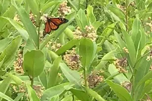 13 Race Course Rd, Bucksport, ME 04416 - Photo 36