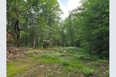 29C Shepherds River Road, Brownfield, ME 04010 - Photo 6