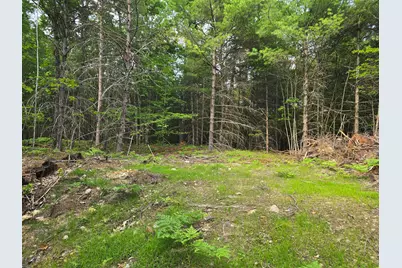 29C Shepherds River Road, Brownfield, ME 04010 - Photo 4