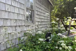 5 Chestnut St, Vinalhaven, ME 04863 - Photo 46