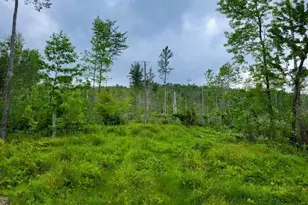 Lot 7 Brown Rd, Oakfield, ME 04763 - Photo 1