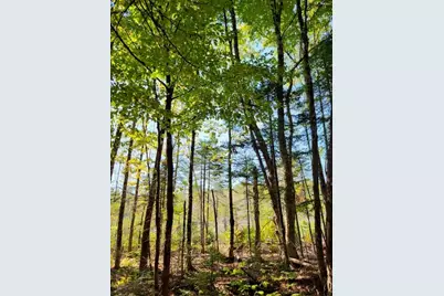 Lot 7 Brown Road, Oakfield, ME 04763 - Photo 6