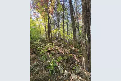 Lot 7 Brown Road, Oakfield, ME 04763 - Photo 10