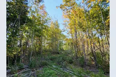 Lot 7 Brown Road, Oakfield, ME 04763 - Photo 4