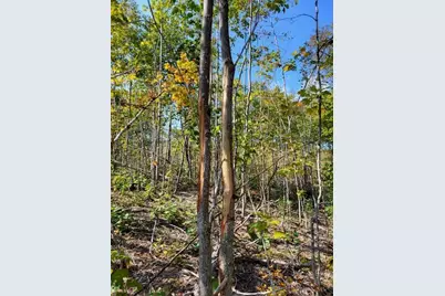 Lot 7 Brown Road, Oakfield, ME 04763 - Photo 8