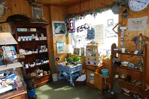 15 Moosehead Lake Rd, Greenville, ME 04441 - Photo 4