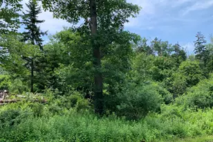 Lot 15 Austin Point Rd, Harpswell, ME 04079 - Photo 22
