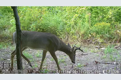 025-A Owen Mann Road, Farmington, ME 04938 - Photo 28