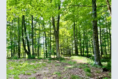 0 Benson Hill Road #Map016,Lot009, West Paris, ME 04289 - Photo 6