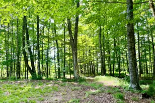 0 Benson Hill Rd, West Paris, ME 04289 - Photo 6