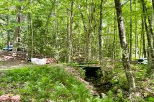 0 Benson Hill Rd, West Paris, ME 04289 - Photo 8