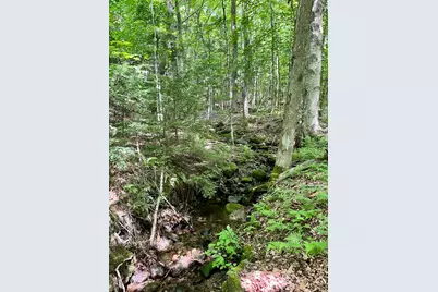 0 Benson Hill Road #Map016,Lot009, West Paris, ME 04289 - Photo 10