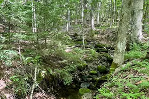 0 Benson Hill Rd, West Paris, ME 04289 - Photo 10