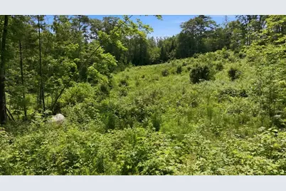 273 Wiley Road, Greene, ME 04236 - Photo 6