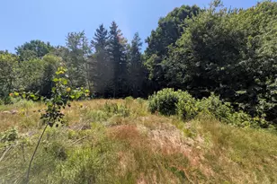 115 Wyman Rd, Milbridge, ME 04658 - Photo 10