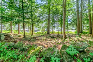 28 Pine Tree Rd, Waterford, ME 04088 - Photo 50