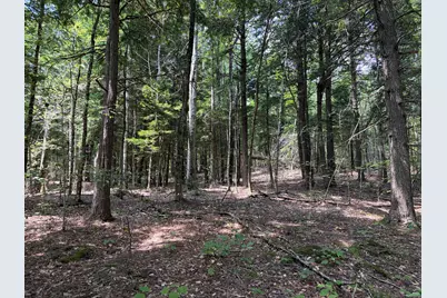 32 Acres Belden Woods Road, Palermo, ME 04354 - Photo 16