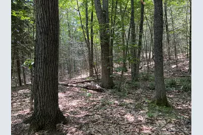 32 Acres Belden Woods Road, Palermo, ME 04354 - Photo 6