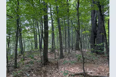 32 Acres Belden Woods Road, Palermo, ME 04354 - Photo 4