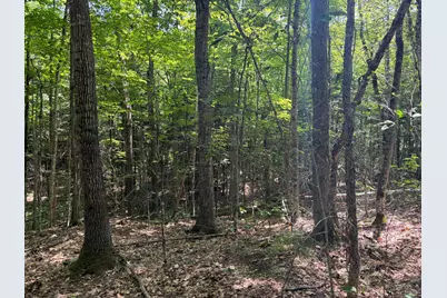 32 Acres Belden Woods Road, Palermo, ME 04354 - Photo 8
