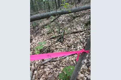 32 Acres Belden Woods Road, Palermo, ME 04354 - Photo 18