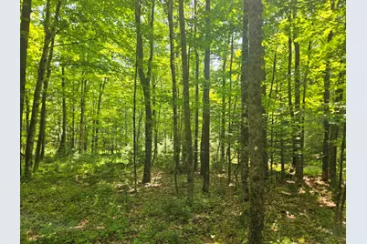 Lot 5 North Merrill Road, Harmony, ME 04942 - Photo 10
