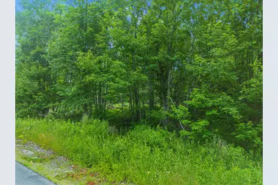 Lot 20-3 Pine Hill Road, Monmouth, ME 04259 - Photo 4