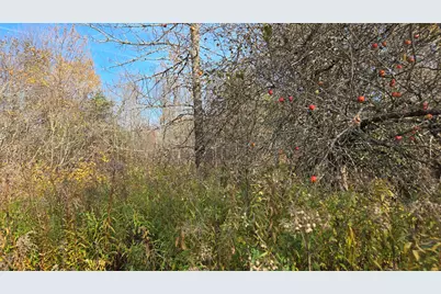 65 Center Street, Baring Plantation, ME 04694 - Photo 6