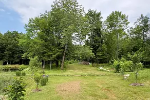1097 Main St, Springfield, ME 04487 - Photo 64