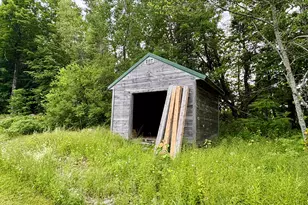 1097 Main St, Springfield, ME 04487 - Photo 74