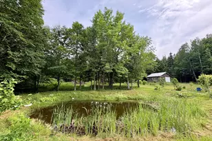 1097 Main St, Springfield, ME 04487 - Photo 60