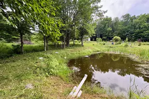 1097 Main St, Springfield, ME 04487 - Photo 62